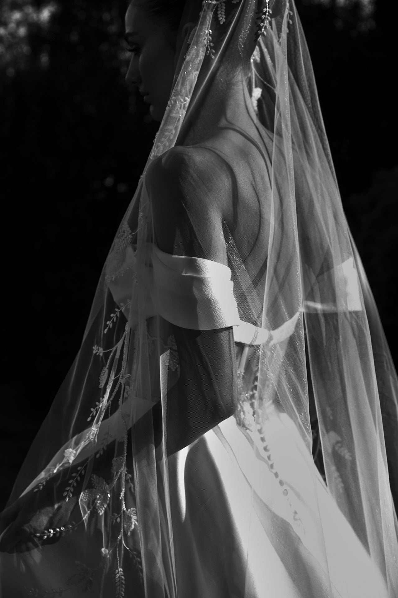 Anna Campbell